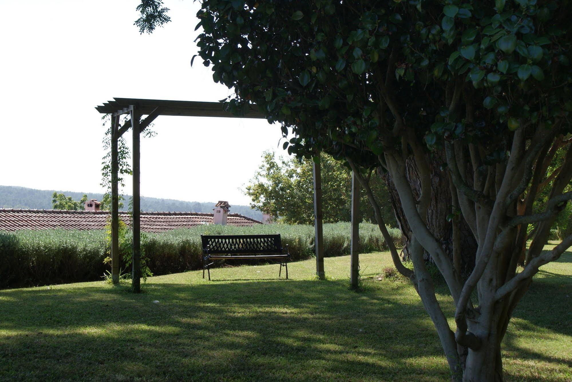 Hostal Quinta Do Paco D'Anha Viana do Castelo Exterior foto